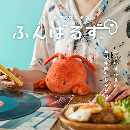 Fluffy様 リクエスト 4点 まとめ商品 Amazon.co.jp: siawadeky スニーカー シュリンクフィルム 100枚