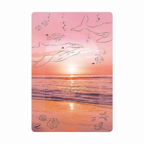 #RYURYU カード 透明カード  くじら雲 TOC22