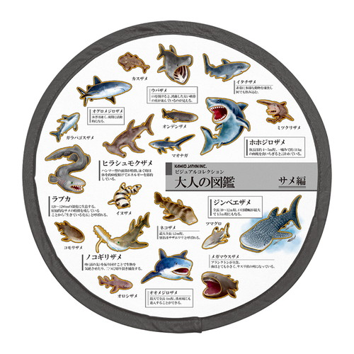 #カミオジャパン うちわ 大人の図鑑折りたたみうちわ  サメ 231941