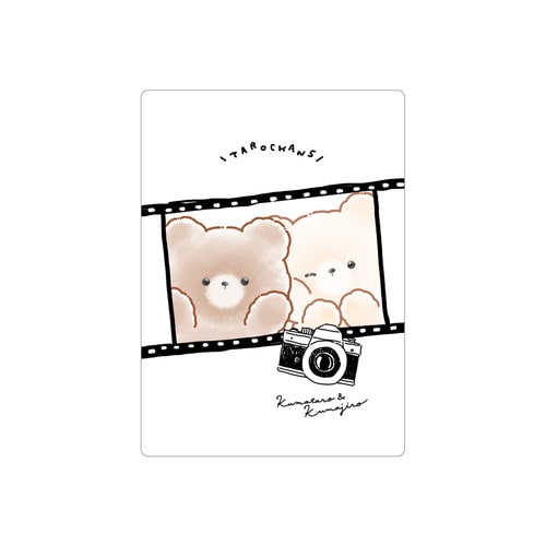 #クラックス  たろちゃんず下敷き  シャッター 139298