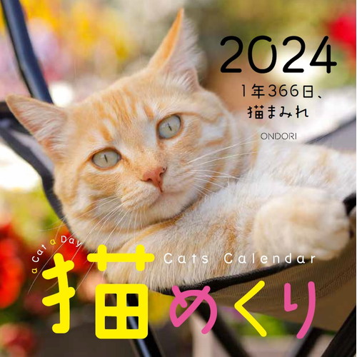 MDS BtoB |#中央経済社 カレンダー 猫めくり 2024年 カレンダー