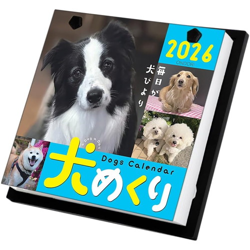 #中央経済社 日めくりカレンダー 犬めくり2026   CK-D26-01