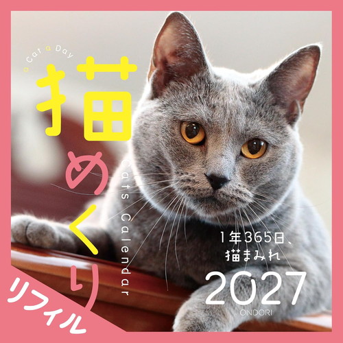 #中央経済社  猫めくり 27年度版 カレンダー リフィル 日めくり   CK-C27-02