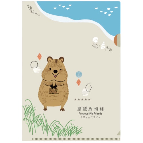 #木野瀬印刷クリアファイル･絶滅危惧種第3弾･知ってほしい仲間たち A5 クアッカワラビー ACF-02095