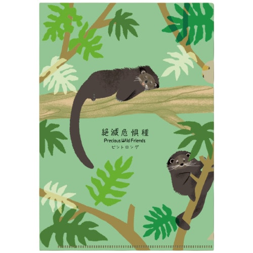 #木野瀬印刷クリアファイル･絶滅危惧種第3弾･知ってほしい仲間たち A5 ビントロング ACF-02099