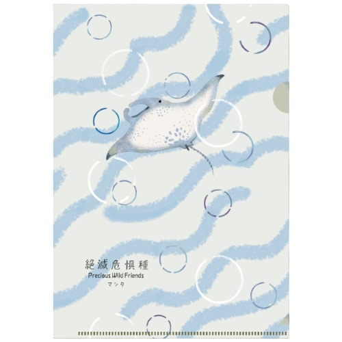 #木野瀬印刷クリアファイル･絶滅危惧種第3弾･知ってほしい仲間たち A5 マンタ ACF-02102