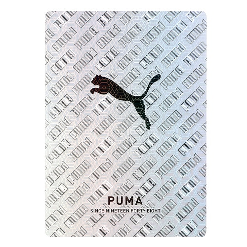 #クツワ(国内販売のみ） 筆記関連小物 PUMA･下敷 B5 シルバー PM610