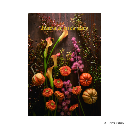 #ダイゴー(国内販売のみ） カード ポストカード5･Have･a･niceday  4 N7859