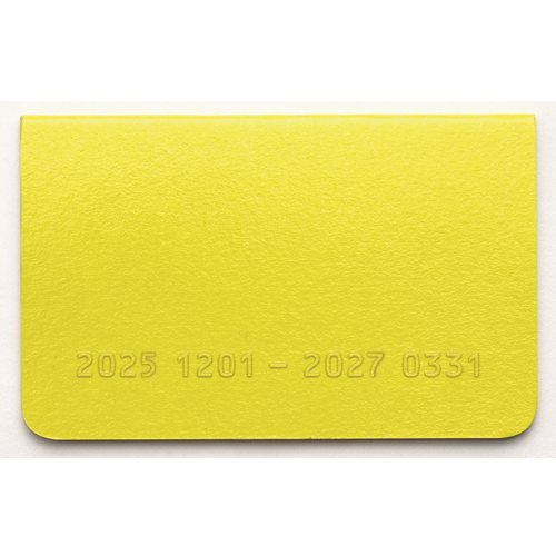 #レイメイ藤井 ダイアリー 26カードサイズダイアリー  12月はじまり イエロー RFD2613Y