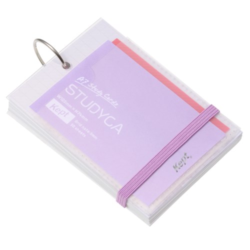 #レイメイ藤井 メモ Kept･STUDYCA  パープル KP1394V