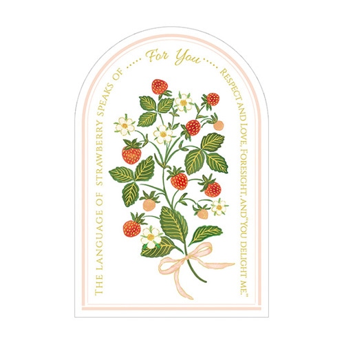 #チキュウグリーティングス レター エブリデイカード   C02-0006