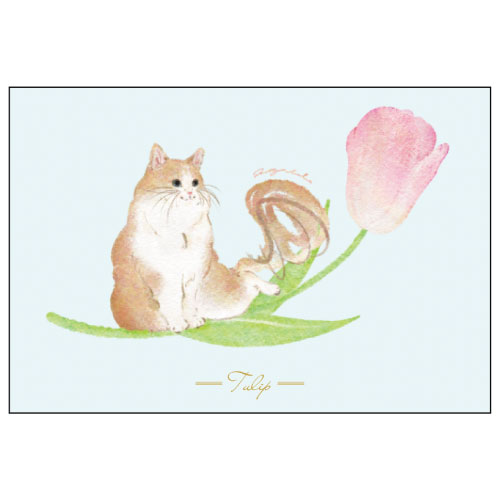 #アクティブコーポレーション カード mettybebeポストカード   L12-PPF-259