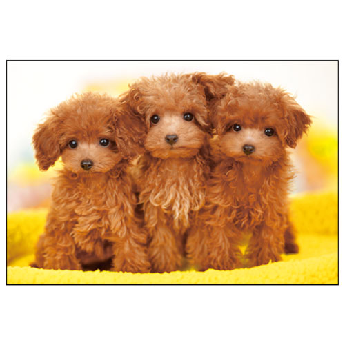 #アクティブコーポレーション カード イヌポストカード   L12-PN-611