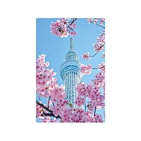 #いろは出版 季節ポストカード 日本の絶景ポストカード春 定型サイズ 東京スカイツリー JPC-88