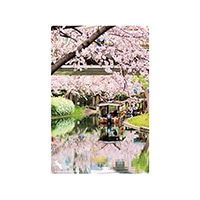 #いろは出版 季節ポストカード 日本の絶景ポストカード春 定型サイズ 京都府立伏見港公園 JPC-94