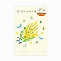 #RYURYU レター 季節のはがき箋  ミモザ KHS01