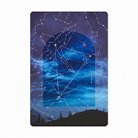 #RYURYU カード 透明カード  はくちょう座 TOC21