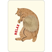 #グリーティングライフ(国内販売のみ） カード なでなでポストカード  茶トラ EC-39