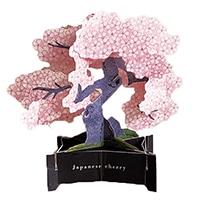 #グリーティングライフ(国内販売のみ） カード BONSAI･ポップアップカード  桜 KE-71