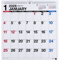 #高橋書店（日本国内のみ） 2026年 カレンダー 壁掛け A3変型 E11