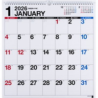 #高橋書店（日本国内のみ） 2026年 カレンダー 壁掛け B3変型 E52