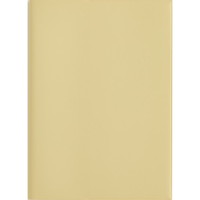#高橋書店（国内販売のみ） 手帳 27年度版 A5 ウィークリー torinco 10 バターイエロー No.542 （27年度版 1月始まり）