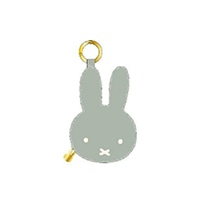 #BSS(国内販売のみ） 身辺雑貨 コインケース  GR EB541GR