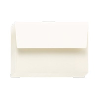 #スコープ レター こぶうとう 無地 クリーム 09054