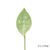 #ケー・イー・アイ フラワーピック 木製プレートピック 葉っぱにありがとう  本 4767