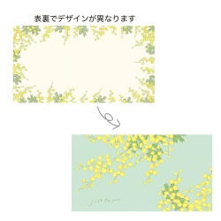 #ケー・イー・アイ ギフトカード ギフトメッセージカード 両面印刷  ミモザ1 5304