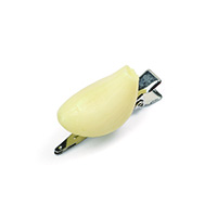 #エルベール クリップ 食品サンプルクリップ  ニンニク KHP-182