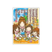 #カミオジャパン 下敷き 平成ファンシー下敷き  明日もずっとラブ友 232825