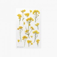 #ワールドクラフト シール Pressed Flower Stickers  1枚入 Rapeseed flower PFS-006