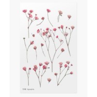 #ワールドクラフト シール Pressed Flower Stickers  1枚入 Gypsophila PFS-007