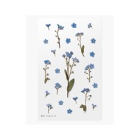 #ワールドクラフト シール Pressed Flower Stickers  1枚入 Forget me not PFS-008