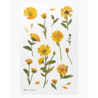 #ワールドクラフト シール Pressed Flower Stickers  1枚入 Calendula PFS-009