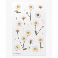 #ワールドクラフト シール Pressed Flower Stickers  1枚入 Marguerite PFS-011