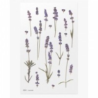 #ワールドクラフト シール Pressed Flower Stickers  1枚入 Lavender PFS-013