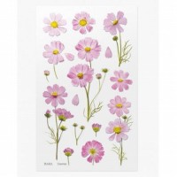 #ワールドクラフト シール Pressed Flower Stickers  1枚入 Cosmos PFS-014