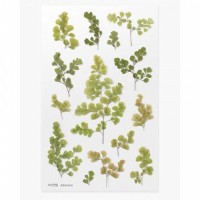 #ワールドクラフト シール Pressed Flower Stickers  1枚入 Adiantum PFS-017