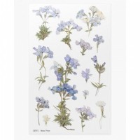 #ワールドクラフト シール Pressed Flower Stickers  1枚入 Moss phlox PFS-021