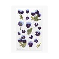 #ワールドクラフト シール Pressed Flower Stickers  1枚入 Pansy PFS-023