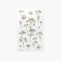 #ワールドクラフト シール Pressed Flower Stickers  1枚入 Lace flower PFS-026