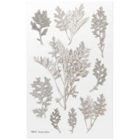 #ワールドクラフト シール Pressed Flower Stickers  1枚入 Dusty miller PFS-027