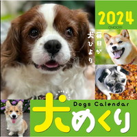 #中央経済社 カレンダー 犬めくり 2024年 カレンダー 日めくり    CK-D24-01