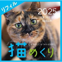 #中央経済社  猫めくり 2025年 カレンダー リフィル   日めくり CK-C25-02