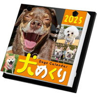 #中央経済社  犬めくり 2025年 カレンダー   日めくり CK-D25-01