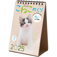 #中央経済社  こねこめくり 2025年 カレンダー  卓上 CK-C25-03