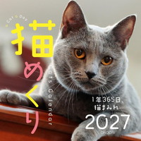 #中央経済社  猫めくり 27年度版 カレンダー 日めくり   CK-C27-01