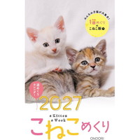 #中央経済社  こねこめくり 27年度版 カレンダー 卓上   CK-C27-03